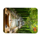 Fossilienmuseum Monte San Giorgio Magnet (Horizontal)