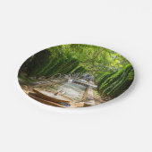 Fossilienmuseum Monte San Giorgio Pappteller (Schrägansicht)