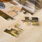 Fossilienmuseum Monte San Giorgio Puzzle (Seite)