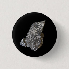 Fossilisierte Fern-Blätter Rock Nature Fotografy Button