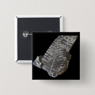 Fossilisierte Fern Leaf-Blätter Naturfotografie Button