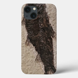 Fossilisierte Fische Case-Mate iPhone Hülle