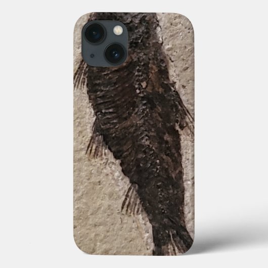 Fossilisierte Fische Case-Mate iPhone Hülle (Rückseite)