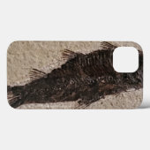Fossilisierte Fische Case-Mate iPhone Hülle (Rückseite (Horizontal))