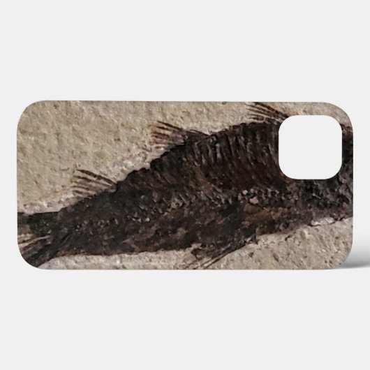 Fossilisierte Fische Case-Mate iPhone Hülle (Rückseite (Horizontal))