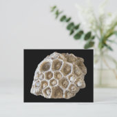 Fossilisierte Koralle auf der schwarzen Postkarte (Stehend Vorderseite)