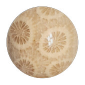 Fossilisierte Korallenwerbung Schneidebrett (Vorderseite)