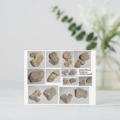 FOSSILISIERTE MAMMAL VERTEBRA POSTKARTE (Stehend Vorderseite)
