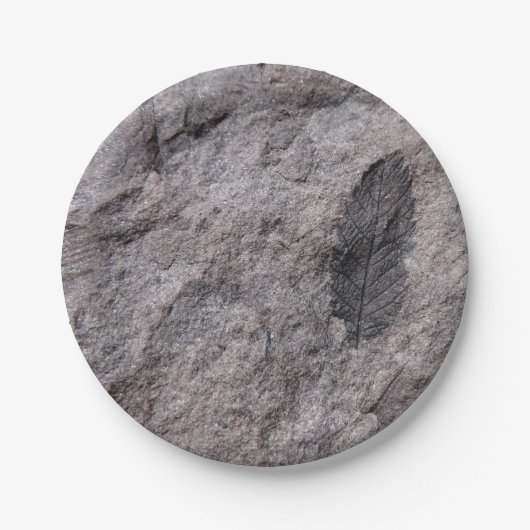 Fossilisierte Pflanze 350 Millionen Yr. Altes Foto Pappteller (Vorderseite)