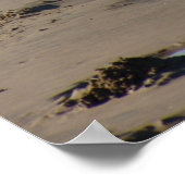 Foster Beach Poster (Ecke)