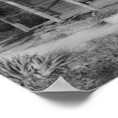 Foster House Poster (Ecke)