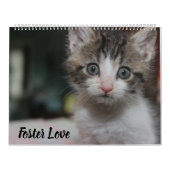 FOSTER LOVE KALENDER (Titelbild)