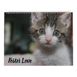 FOSTER LOVE KALENDER