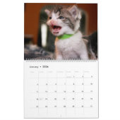 FOSTER LOVE KALENDER (Jan 2026)