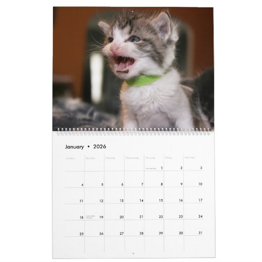 FOSTER LOVE KALENDER (Jan 2026)