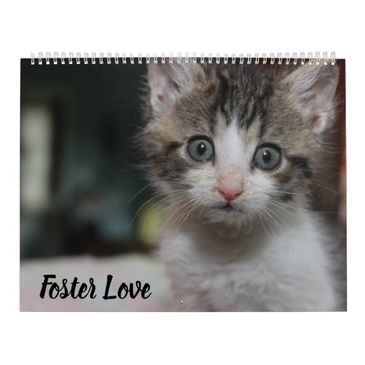 FOSTER LOVE KALENDER (Titelbild)