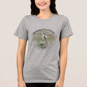 Foster to Adopt T-Shirt Tri-Blend Shirt