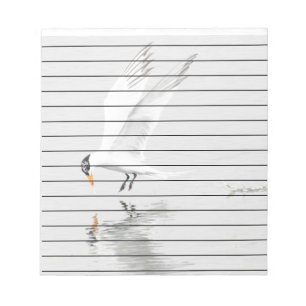 Foster's Tern im Flug Notizblock