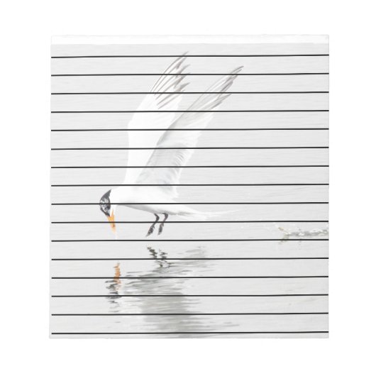 Foster's Tern im Flug Notizblock (Vorderseite)