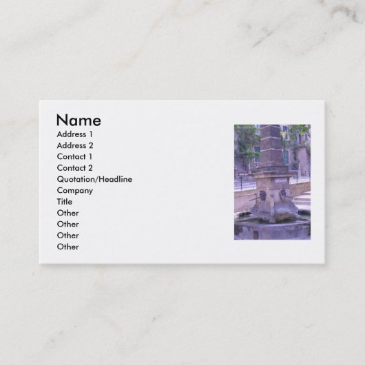 Fotain Business Card Visitenkarte (Vorderseite)