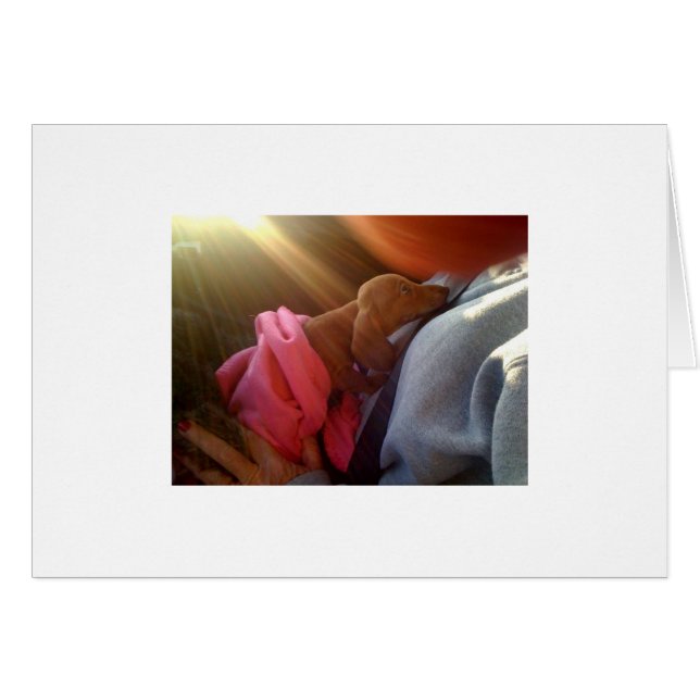 Foto[1] (Vorderseite (Horizontal))