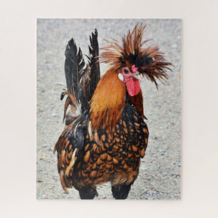 Foto 136 Liste Puzzle