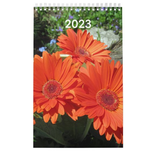 Foto 2023 Blume Kalender (Titelbild)