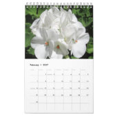 Foto 2023 Blume Kalender (Feb 2027)