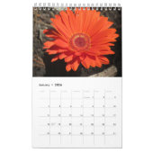 Foto 2023 Blume Kalender (Jan 2026)