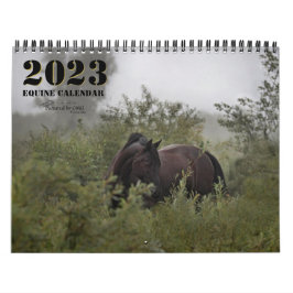 Foto 2023 Pferde - Kalender II