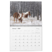 Foto 2023 Pferde - Kalender II (Jan 2027)