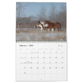Foto 2023 Pferde - Kalender II (Feb 2027)