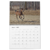 Foto 2023 Pferde - Kalender II (Mär 2027)