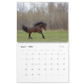Foto 2024 kalender (Mär 2026)