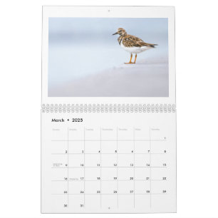 Foto 2025 kalender