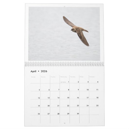 Foto 2025 kalender (Apr 2026)