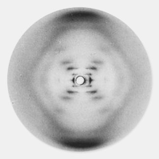 Foto 51 von Rosalind Franklin | DNA-Aufkleber Runder Aufkleber