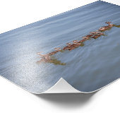 Foto 6x4 Kodak Papier (Ecke)