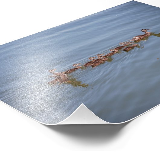 Foto 6x4 Kodak Papier (Ecke)