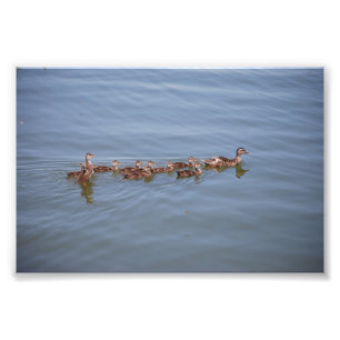 Foto 6x4 Kodak Papier