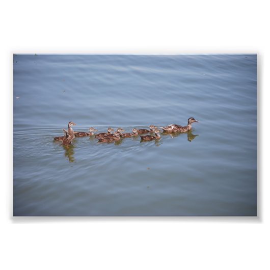 Foto 6x4 Kodak Papier (Vorne)