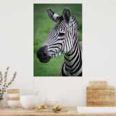 Foto African Zebra im grünen Grasportrait Poster (Küche)