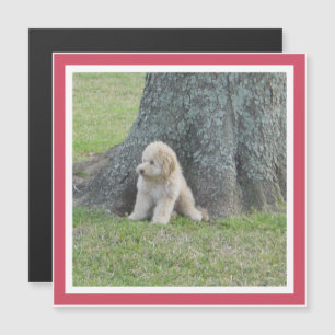 Foto-Andenken Moderne Vorlage Girly Pink Magnet