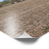 Foto anderer Gedichte drucken (Ecke)