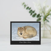 Foto Arctic Wolf (Polar Wolf, Weißer Wolf) Postkarte (Stehend Vorderseite)