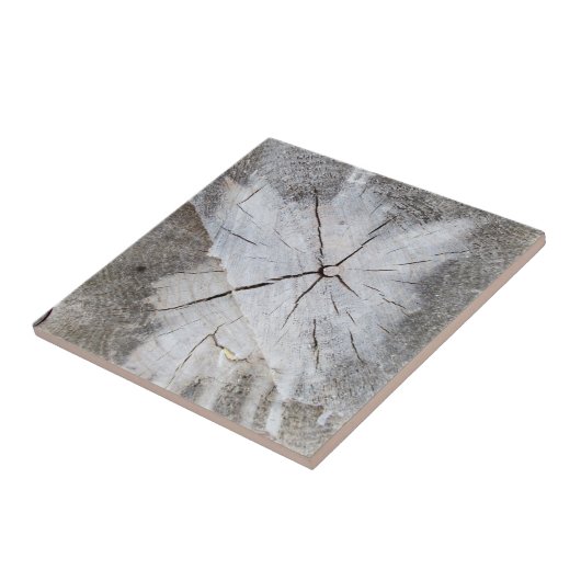 Foto Art 2 Fliese (Seite)