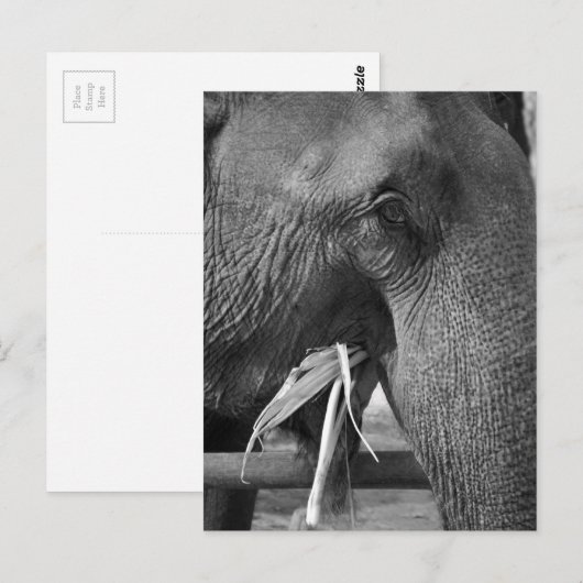 Foto auf der Postkarte (Vorne/Hinten)