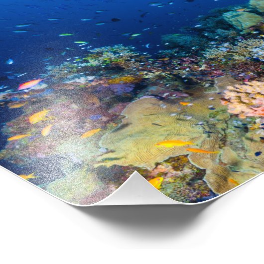 Foto auf Korallensee (Ecke)