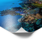 Foto auf Korallensee (Ecke)