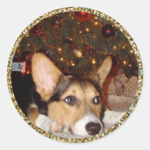 Foto-Aufkleber für Gold-Glitzer Runder Aufkleber